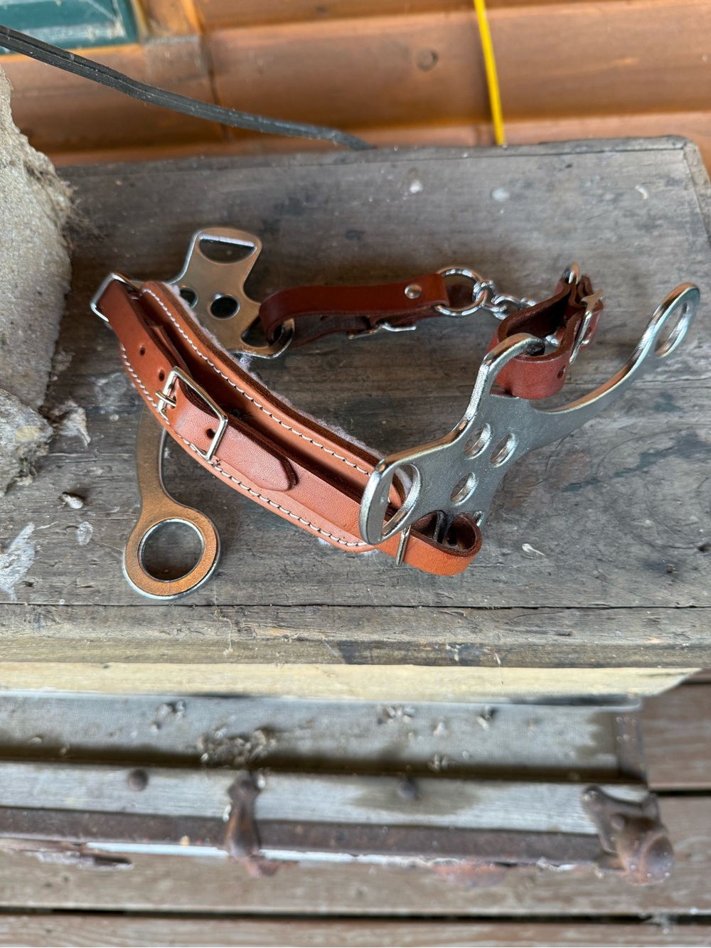 English hackamore